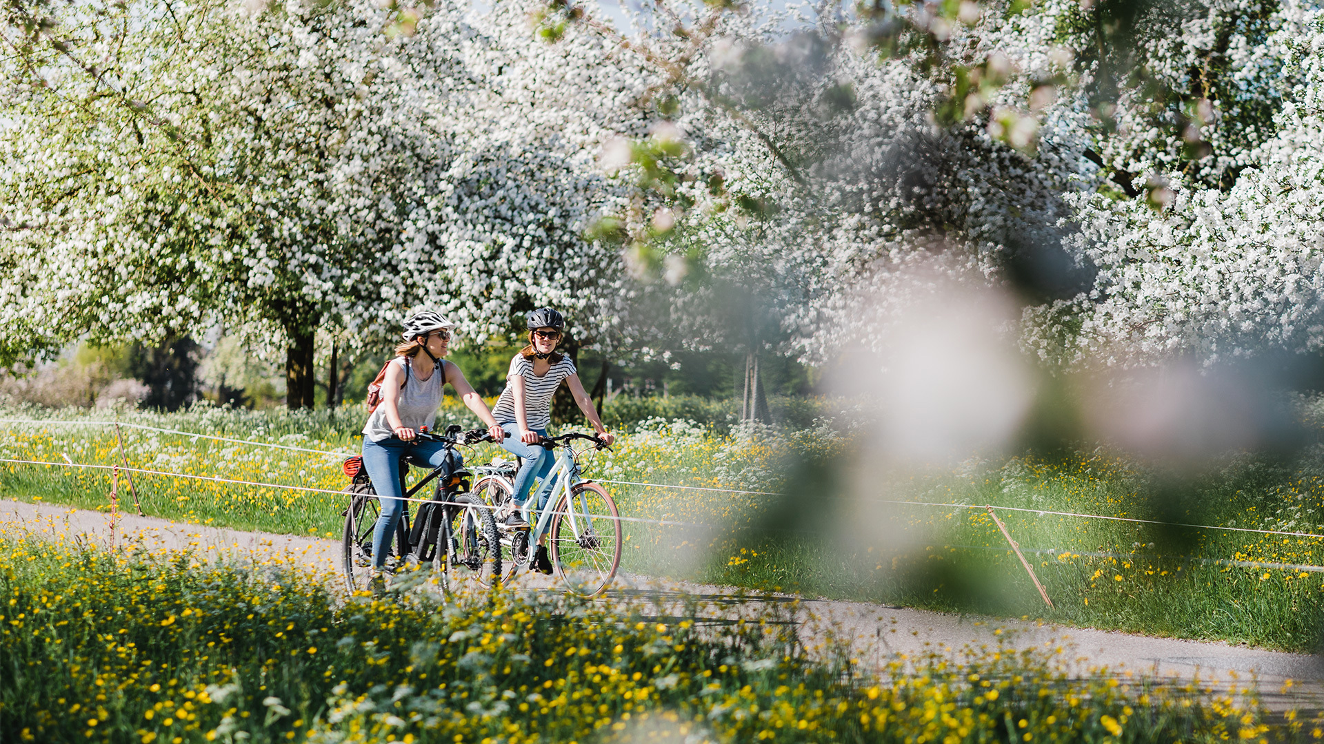 Velofahren im Thurgau – Hotel Münchwilen